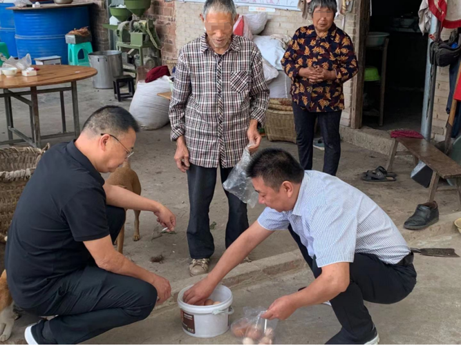 为促进农户增收重庆工行乡村振兴驻村工作队当起了农副产品销售员