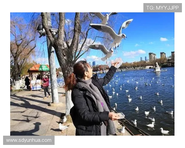 美人豹2：不止于速度，更是驾驭风的艺术