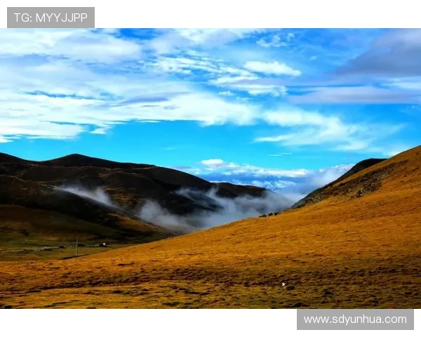 《大象的眼泪》:一场震撼心灵的旅程,揭示生命中最柔软的真相 《大象的眼泪》:一场震撼心灵的旅程,揭示生命中最柔软的真相
