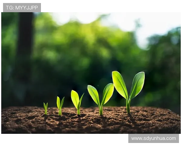 唤醒心中潜藏的宇宙能量:天装战队,守护星辰大海的绿色守护者 唤醒心中潜藏的宇宙能量:天装战队,守护星辰大海的绿色守护者